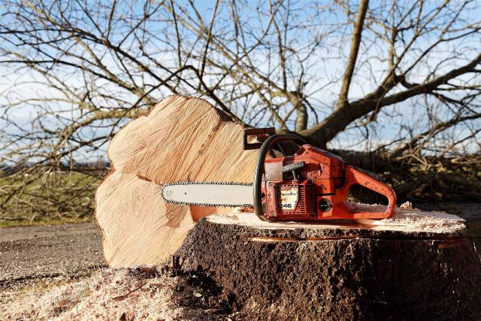 entreprise elagage tours sud abattage arbre saint avertin
