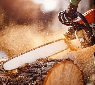 elagueur grimpeur 37  jardins domaines chateaux Indre et Loire