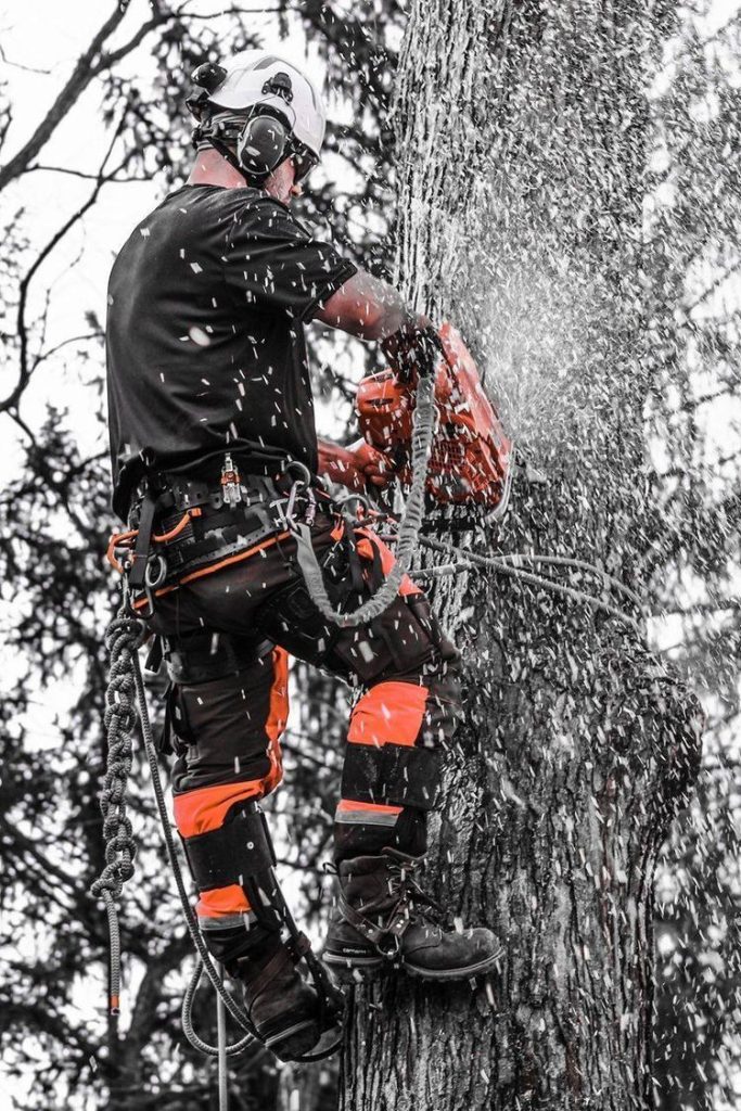 elagage arbre saint nazaire